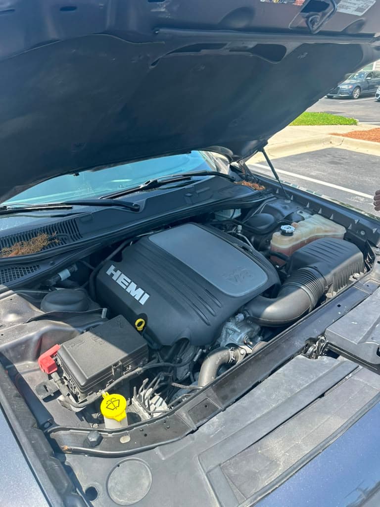 Clean HEMI V8 engine bay after service